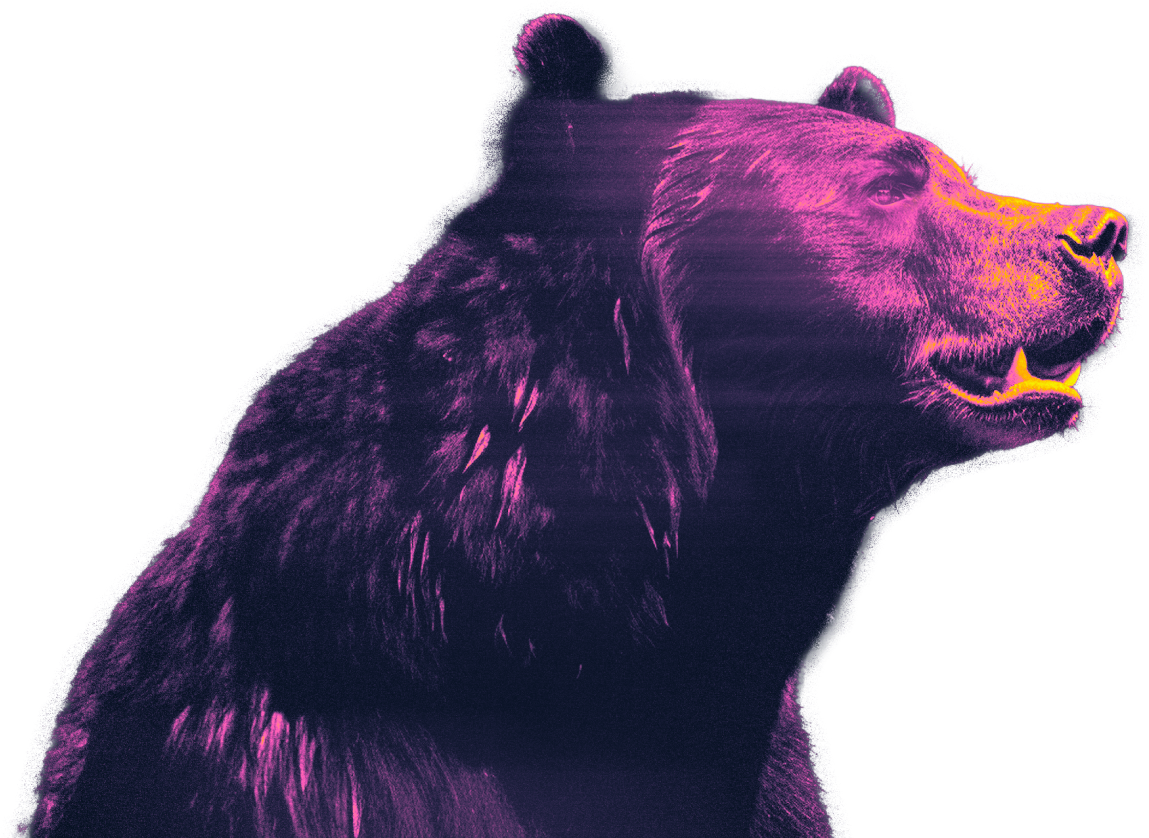 king ursa bear